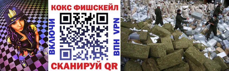 Купить закладки  Елабуга  Кокаин FishScale 