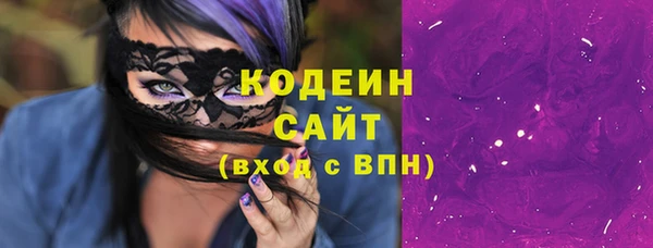 хмурый Кодинск