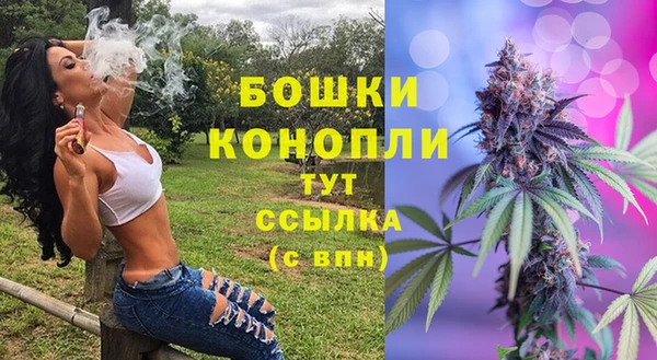 хмурый Кодинск