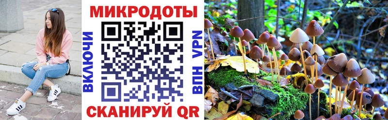 Псилоцибиновые грибы мухоморы  Купить где  Елабуга 